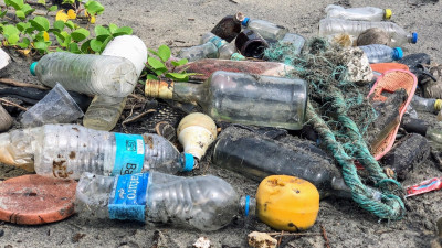 The Circular Economy: Reducing Ocean Plastics at the Source